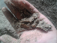 配合洗砂機回收細沙